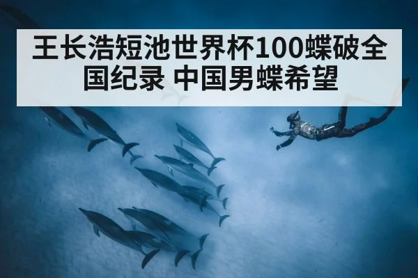 王长浩短池世界杯100蝶破全国纪录 中国男蝶希望