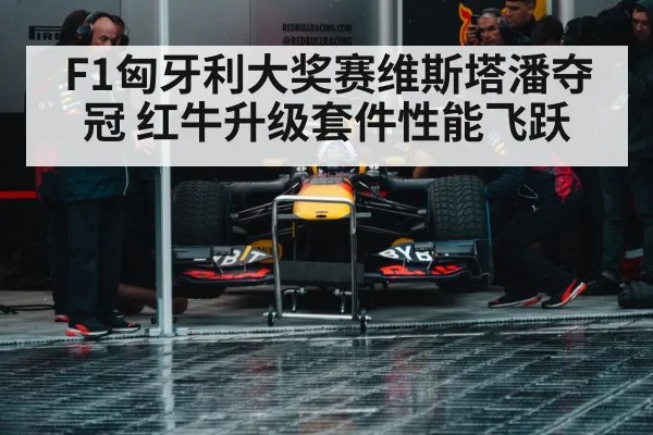 F1匈牙利大奖赛维斯塔潘夺冠 红牛升级套件性能飞跃 - kaiyun